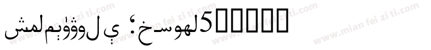 Uighursoft 3L Song字体转换